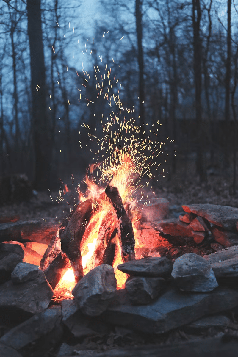 firewood birch